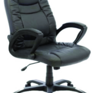 SILLA  BERSCIA