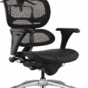 SILLA ERGOHUMAN ECO