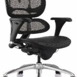 SILLA ERGOHUMAN ECO